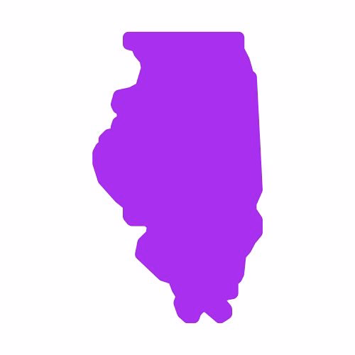 Illinois State Flag