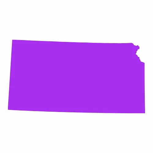 Kansas State Flag