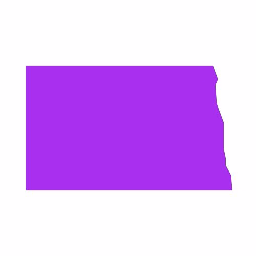 North Dakota State Flag