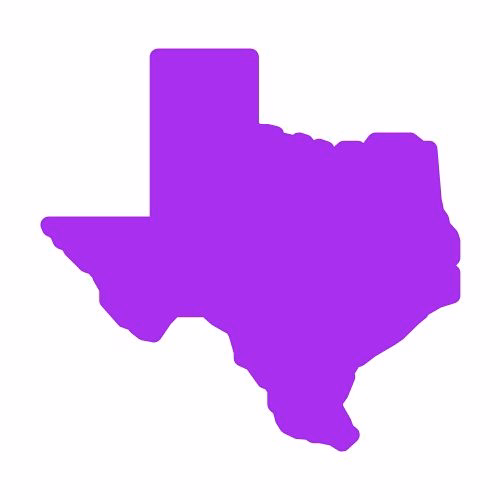 Texas State Flag